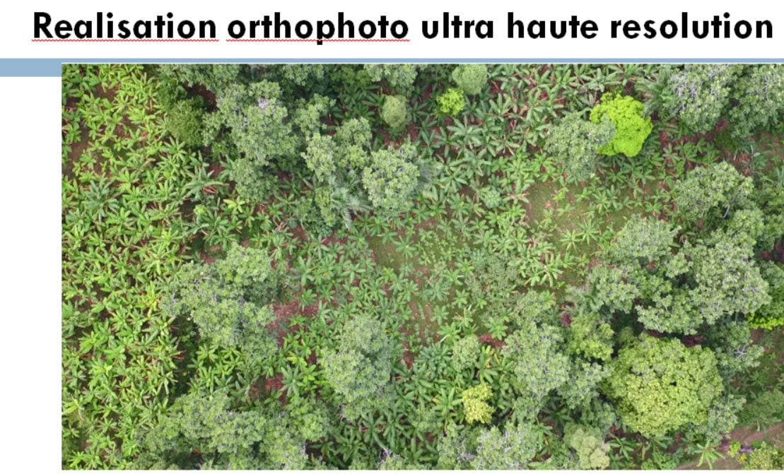 Orthophoto Ultrahaute Résolution
