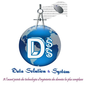 DATA SOLUTION & SYSTEM